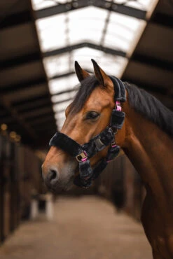 Horze Smoky Twilight Kunstfellhalfter 19 Horze Smoky Twilight Kunstfellhalfter -Cavallo Verkäufe 22366 089 05