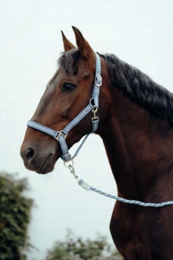 Horze Halfter & Führstrick Set Mit Metallic Streifen -Cavallo Verkäufe 22501 LB 2