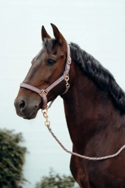 Horze Halfter & Führstrick Set Mit Metallic Streifen -Cavallo Verkäufe 22501 LPU 2