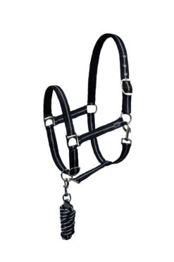 Horze Halfter & Führstrick Set Mit Metallic Streifen -Cavallo Verkäufe 22501 MDB 1