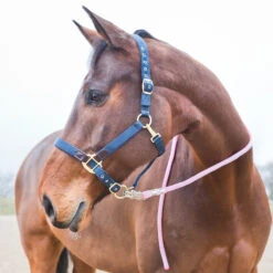Horze Führstrick, Panikhaken -Cavallo Verkäufe 22605 PI 3