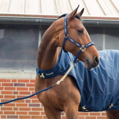 Horze Holbrook Führkette -Cavallo Verkäufe 22613 PDB 2