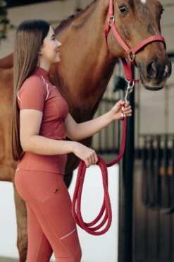 B Vertigo Hardwick Führstrick -Cavallo Verkäufe 22637 MNRE 2