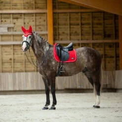 B Vertigo Raxus Fliegenhaube 21 B Vertigo Raxus Fliegenhaube -Cavallo Verkäufe 22862 LPPI 4