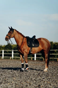 B Vertigo Drew Fliegenhaube -Cavallo Verkäufe 22931 BL 4