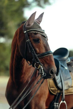 B Vertigo Drew Fliegenhaube -Cavallo Verkäufe 22931 UBBR 3