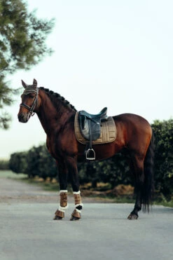 B Vertigo Drew Fliegenhaube -Cavallo Verkäufe 22931 UBBR 4