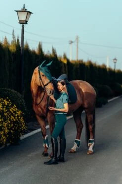 Horze Phoenix Fliegenhaube 21 Horze Phoenix Fliegenhaube -Cavallo Verkäufe 22933 STGR 3