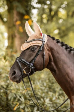 B Vertigo Quinn Fliegenhaube 12 B Vertigo Quinn Fliegenhaube -Cavallo Verkäufe 22937 sbe 03