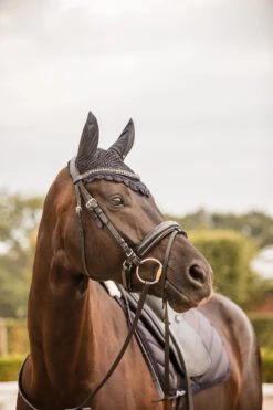 Horze Victoria Fliegenhaube 9 Horze Victoria Fliegenhaube -Cavallo Verkäufe 22940 ikb 02