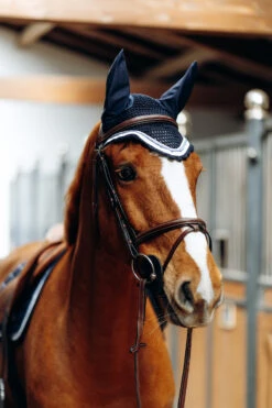 B Vertigo Cameron Fliegenhaube -Cavallo Verkäufe 22944 VDB 3