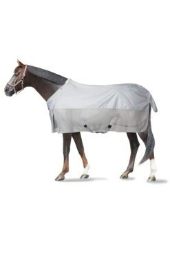 Neue Produkte -Cavallo Verkäufe 24043 lrg 02