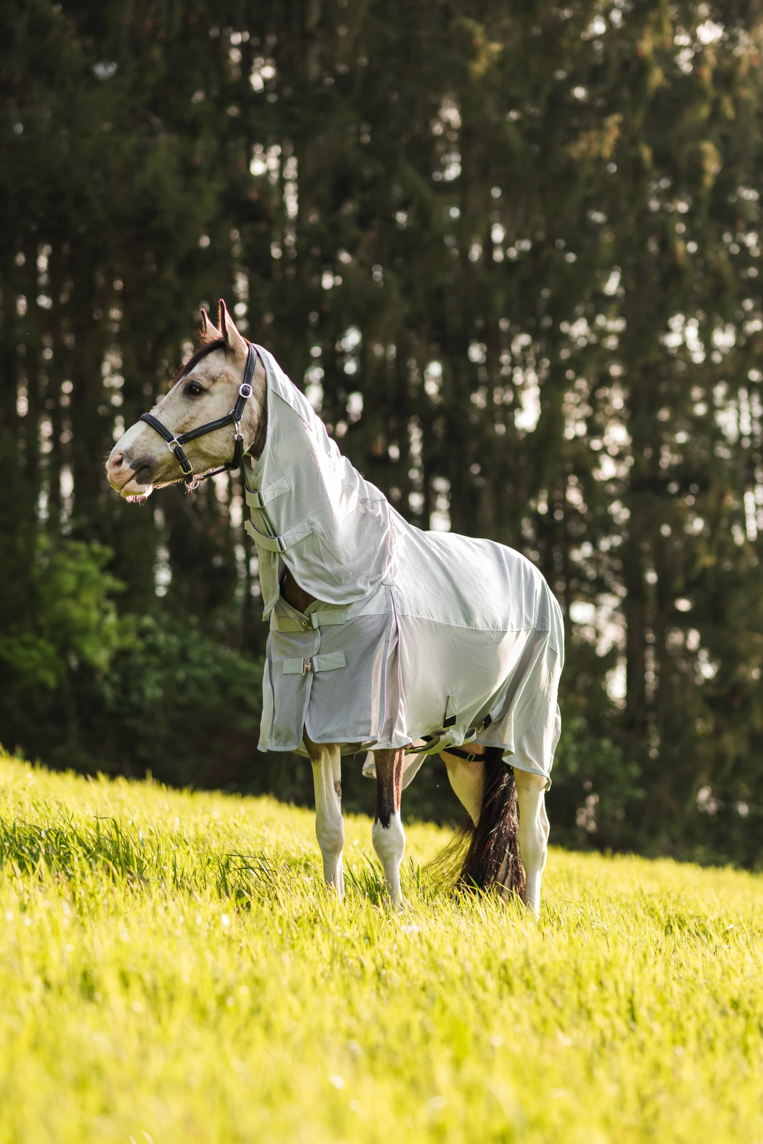 Horze Nevada Combo Regen-/Fliegendecke Mit Abnehmbarem Halsteil 5 Horze Nevada Combo Regen-/Fliegendecke Mit Abnehmbarem Halsteil – Bild 5