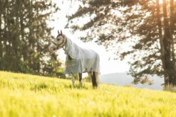 Horze Nevada Combo Regen-/Fliegendecke Mit Abnehmbarem Halsteil 27 Horze Nevada Combo Regen-/Fliegendecke Mit Abnehmbarem Halsteil -Cavallo Verkäufe 24043 lrg 09