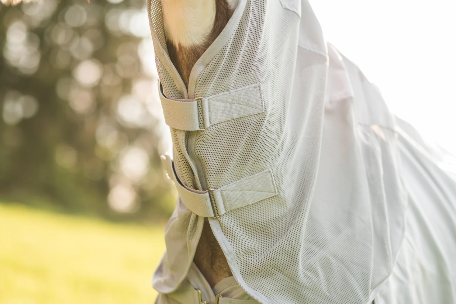 Horze Nevada Combo Regen-/Fliegendecke Mit Abnehmbarem Halsteil 11 Horze Nevada Combo Regen-/Fliegendecke Mit Abnehmbarem Halsteil – Bild 11