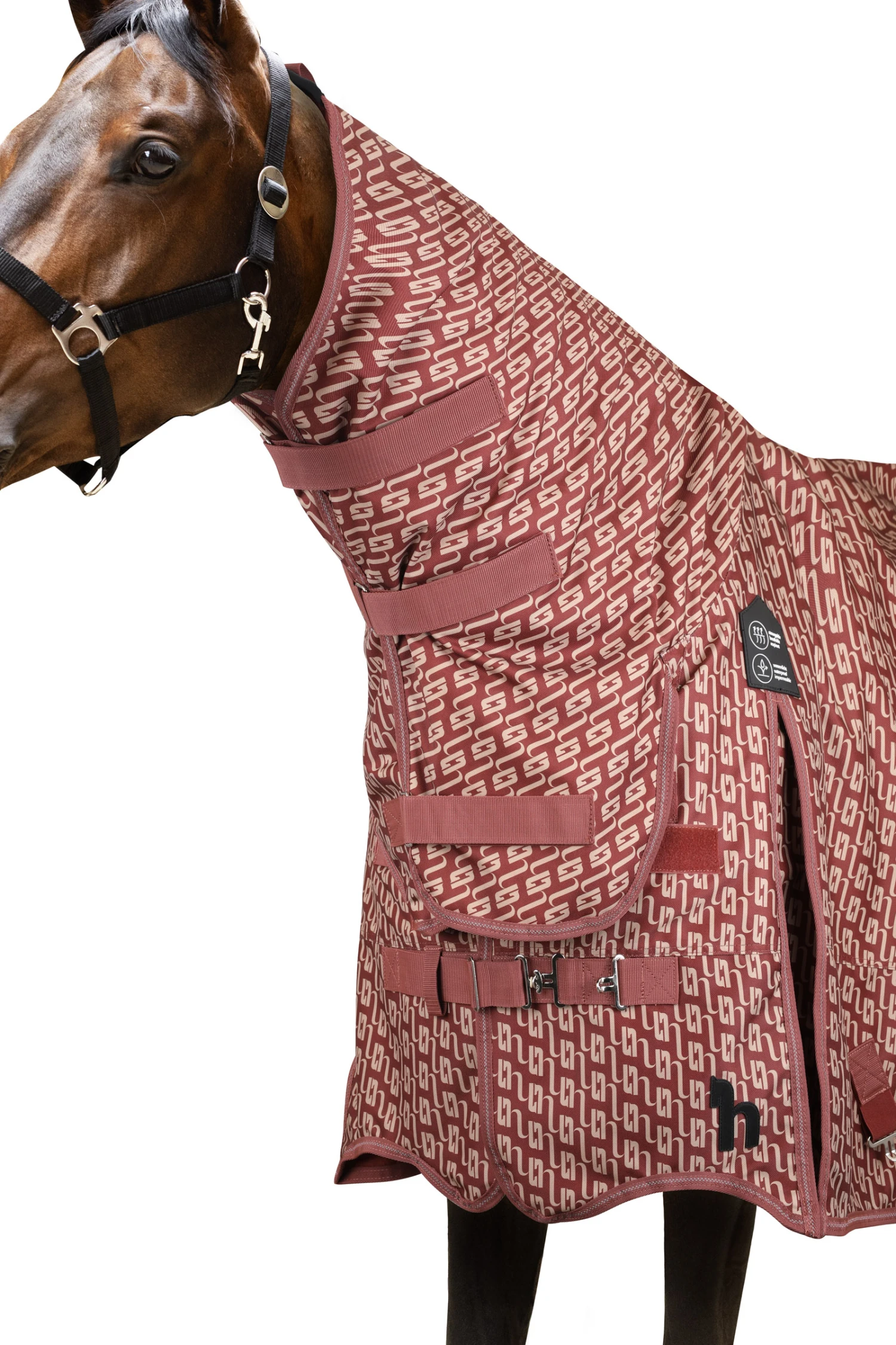 Horze Avalanche Weidedecke Mit Festem Halsteil, 150g 2 Horze Avalanche Weidedecke Mit Festem Halsteil, 150g – Bild 2