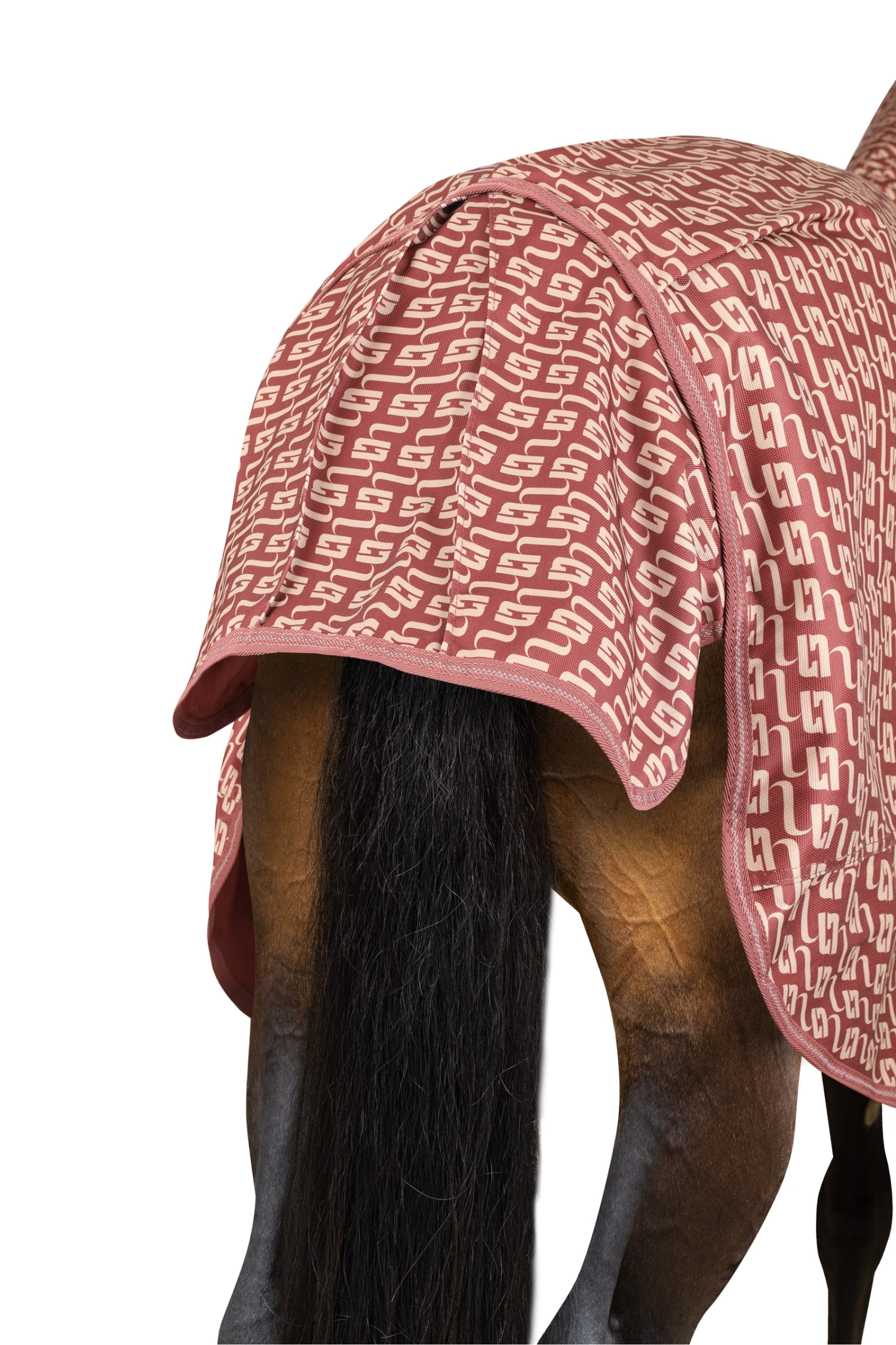 Horze Avalanche Weidedecke Mit Festem Halsteil, 150g 3 Horze Avalanche Weidedecke Mit Festem Halsteil, 150g – Bild 3