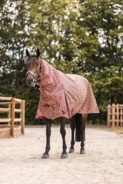 Horze Avalanche Weidedecke Mit Festem Halsteil, 150g 21 Horze Avalanche Weidedecke Mit Festem Halsteil, 150g -Cavallo Verkäufe 24089 281 07