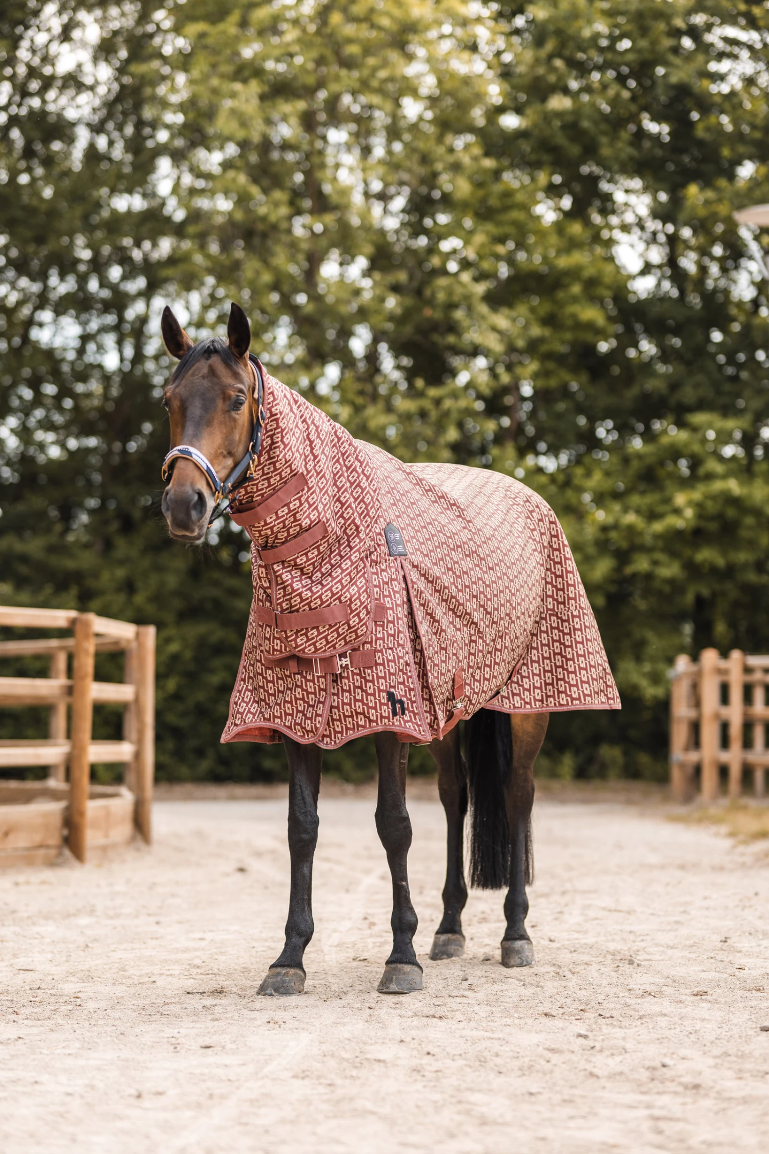 Horze Avalanche Weidedecke Mit Festem Halsteil, 150g 7 Horze Avalanche Weidedecke Mit Festem Halsteil, 150g – Bild 7