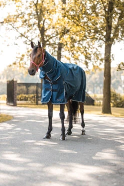 Horze Glasgow Regendecke Mit Halsteil, 150g -Cavallo Verkäufe 24109 559 06