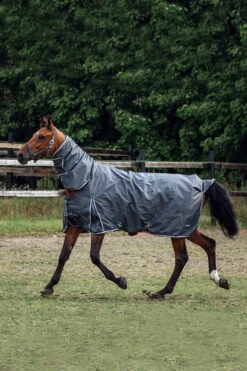 Horze Glasgow Regendecke Mit Halsteil, 400g -Cavallo Verkäufe 24111 IGG SLBR 05