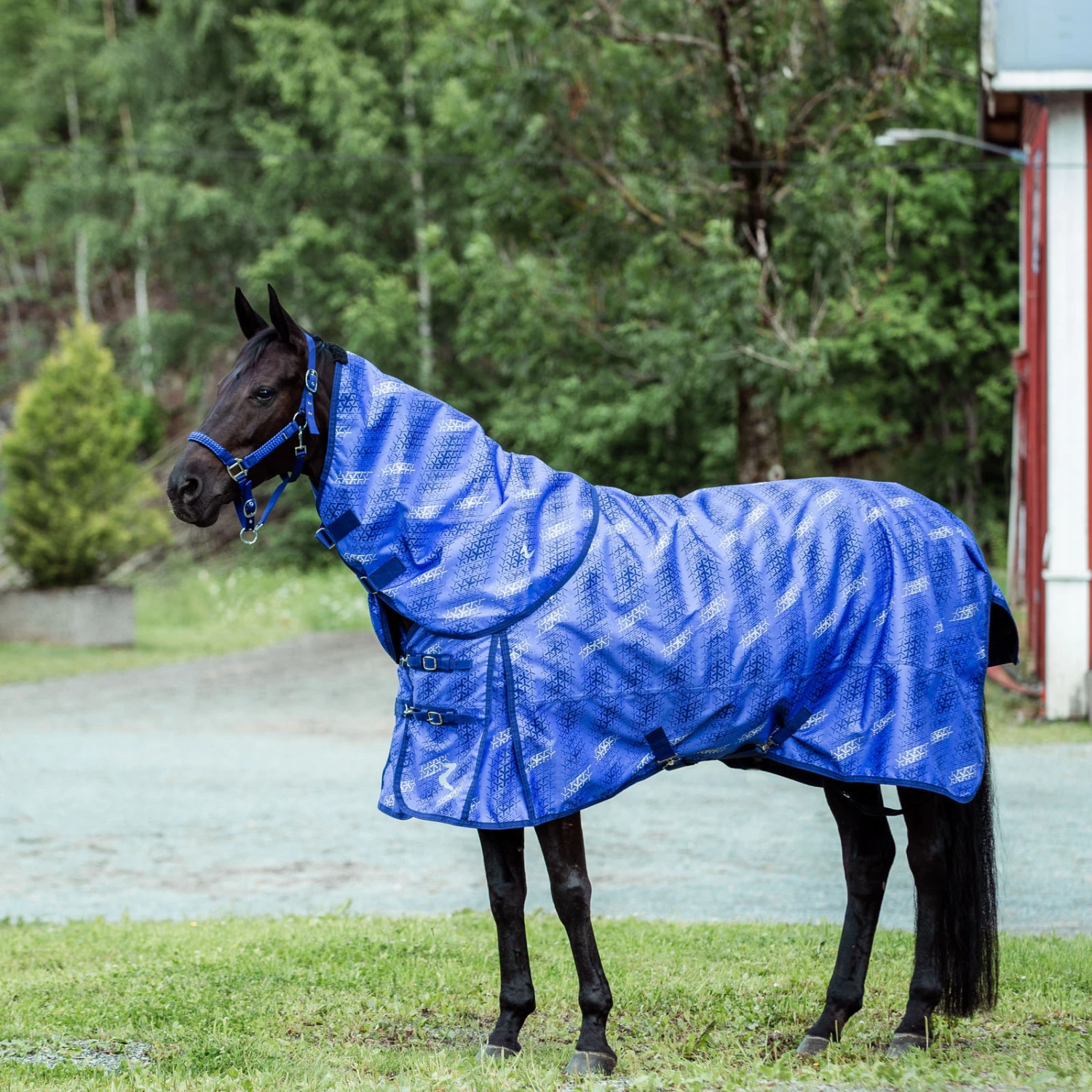 Horze Nevada 1200D Regendecke,100g 2 Horze Nevada 1200D Regendecke,100g – Bild 2