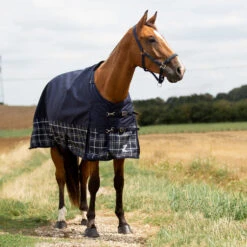 Horze Nevada 1200D Regendecke,100g 14 Horze Nevada 1200D Regendecke,100g -Cavallo Verkäufe 24128 PDB LDGR 1