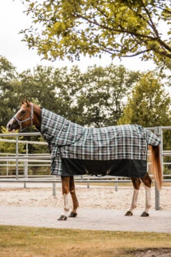 Horze Nevada Halsteil Für Regendecke, 200g -Cavallo Verkäufe 24138 UDGR 4