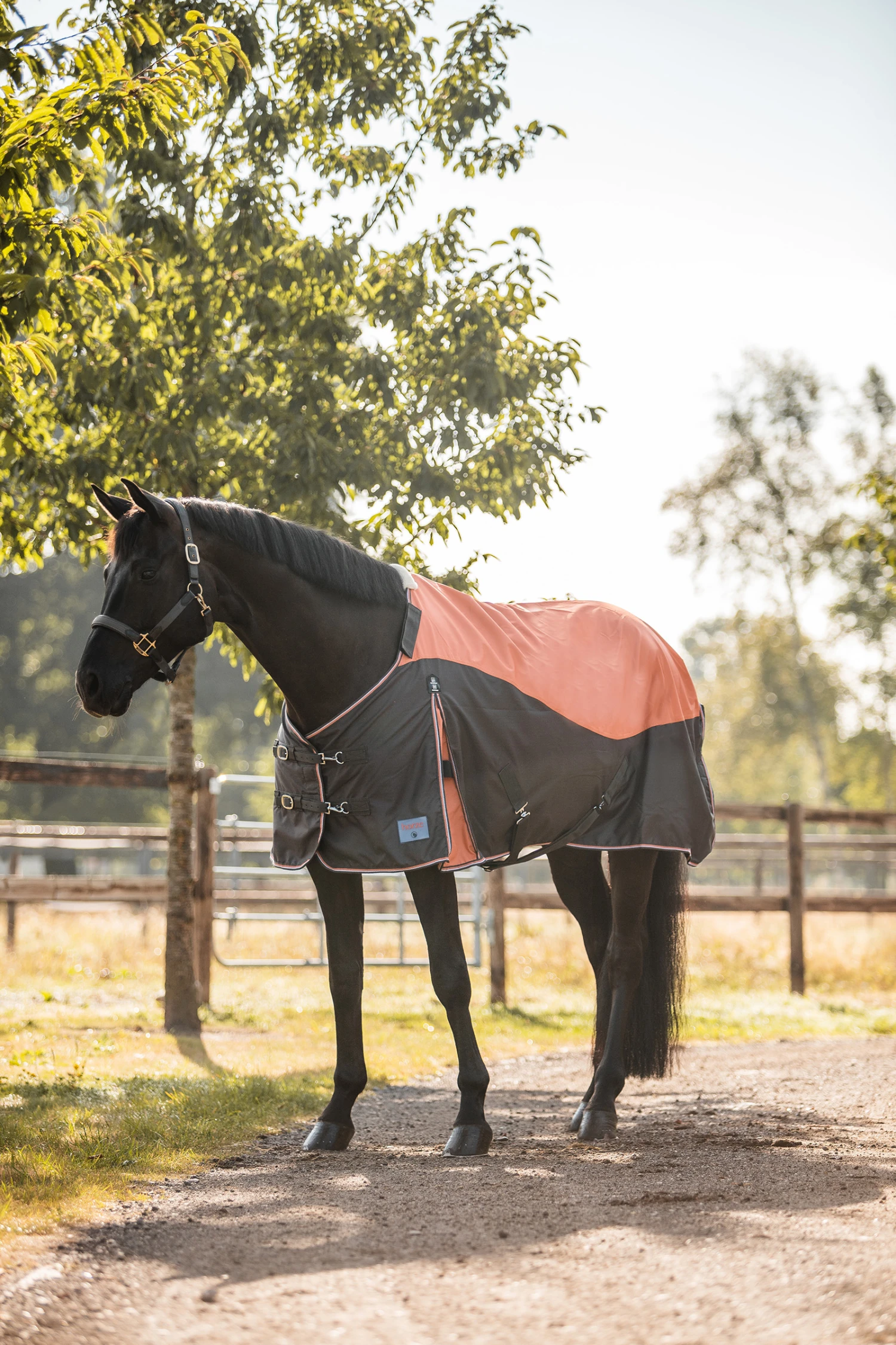 Horze Lucerne Regendecke, 150g 4 Horze Lucerne Regendecke, 150g – Bild 4