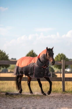 Horze Lucerne Halsteil, 250g -Cavallo Verkäufe 24199 237 04