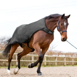 Horze Nevada Führanlagendecke, 200g 8 Horze Nevada Führanlagendecke, 200g -Cavallo Verkäufe 24331 BL 3