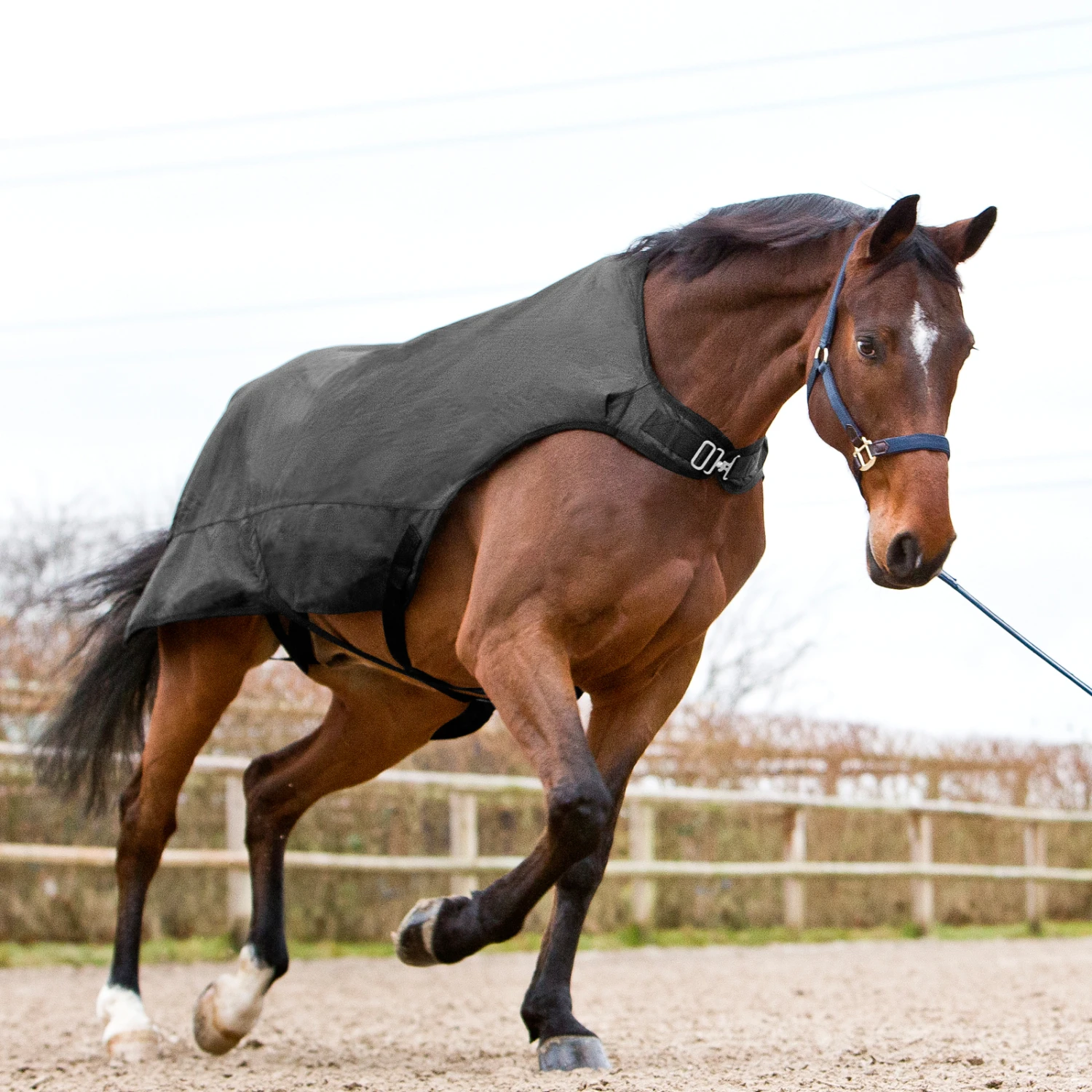 Horze Nevada Führanlagendecke, 200g 3 Horze Nevada Führanlagendecke, 200g – Bild 3