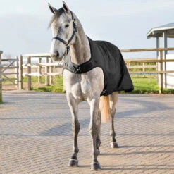 Horze Nevada Führanlagendecke, 200g 9 Horze Nevada Führanlagendecke, 200g -Cavallo Verkäufe 24331 BL 4