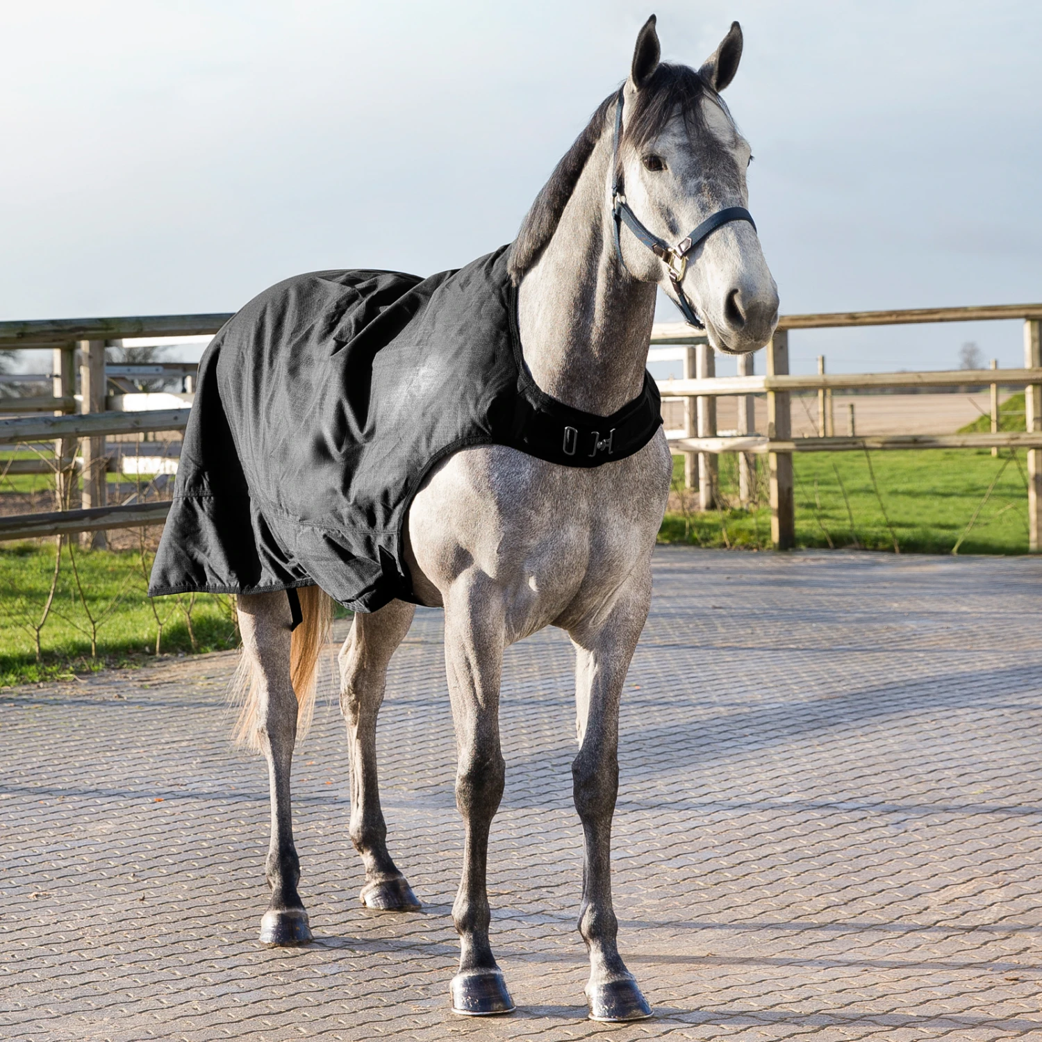 Horze Nevada Führanlagendecke, 200g 5 Horze Nevada Führanlagendecke, 200g – Bild 5