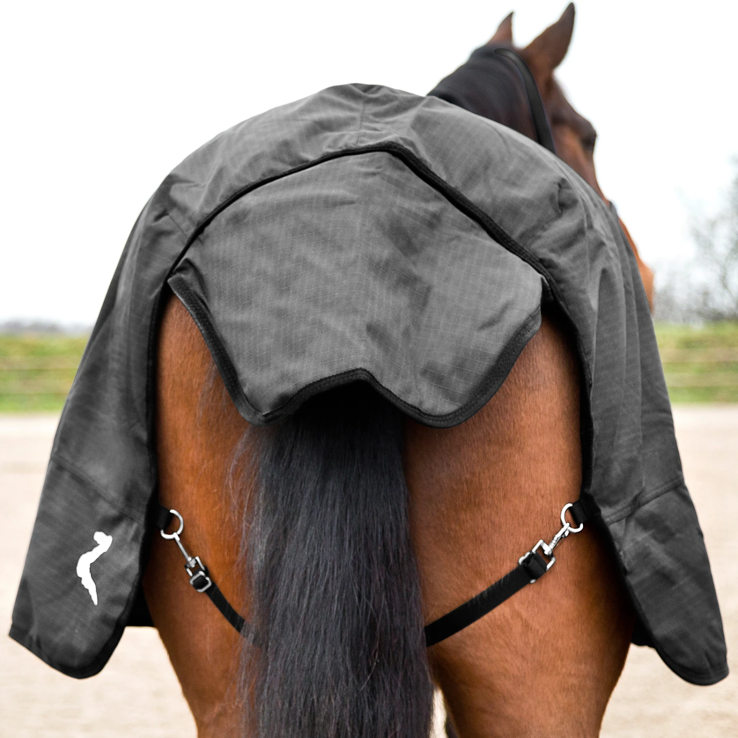 Horze Nevada Führanlagendecke, 200g 6 Horze Nevada Führanlagendecke, 200g – Bild 6