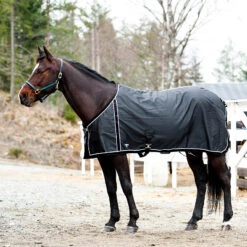 FT Sommerdecke, Enstex -Cavallo Verkäufe 24370 BL BL 1