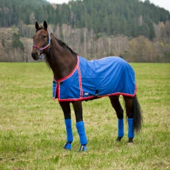 FT Sommerdecke, Enstex -Cavallo Verkäufe 24370 B RE 1