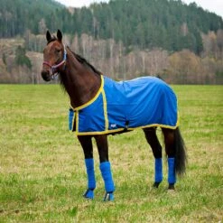 FT Sommerdecke, Enstex -Cavallo Verkäufe 24370 B YE 1