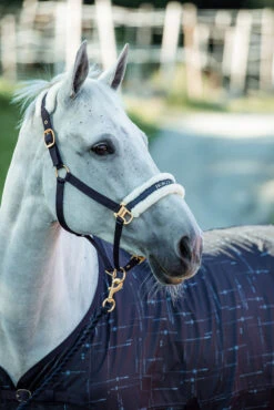 Horze Fairfax UV-Schutz Decke -Cavallo Verkäufe 24377 vdb 03