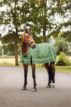 Horze Quebec Fleece Liner, 100g 13 Horze Quebec Fleece Liner, 100g -Cavallo Verkäufe 24398 651 07