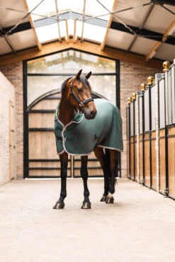 B Vertigo Evolve Fleece-Kühldecke 13 B Vertigo Evolve Fleece-Kühldecke -Cavallo Verkäufe 24445 681 07