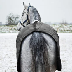 Horze Nevada Stalldecke, 200g 17 Horze Nevada Stalldecke, 200g -Cavallo Verkäufe 24572 BL 6