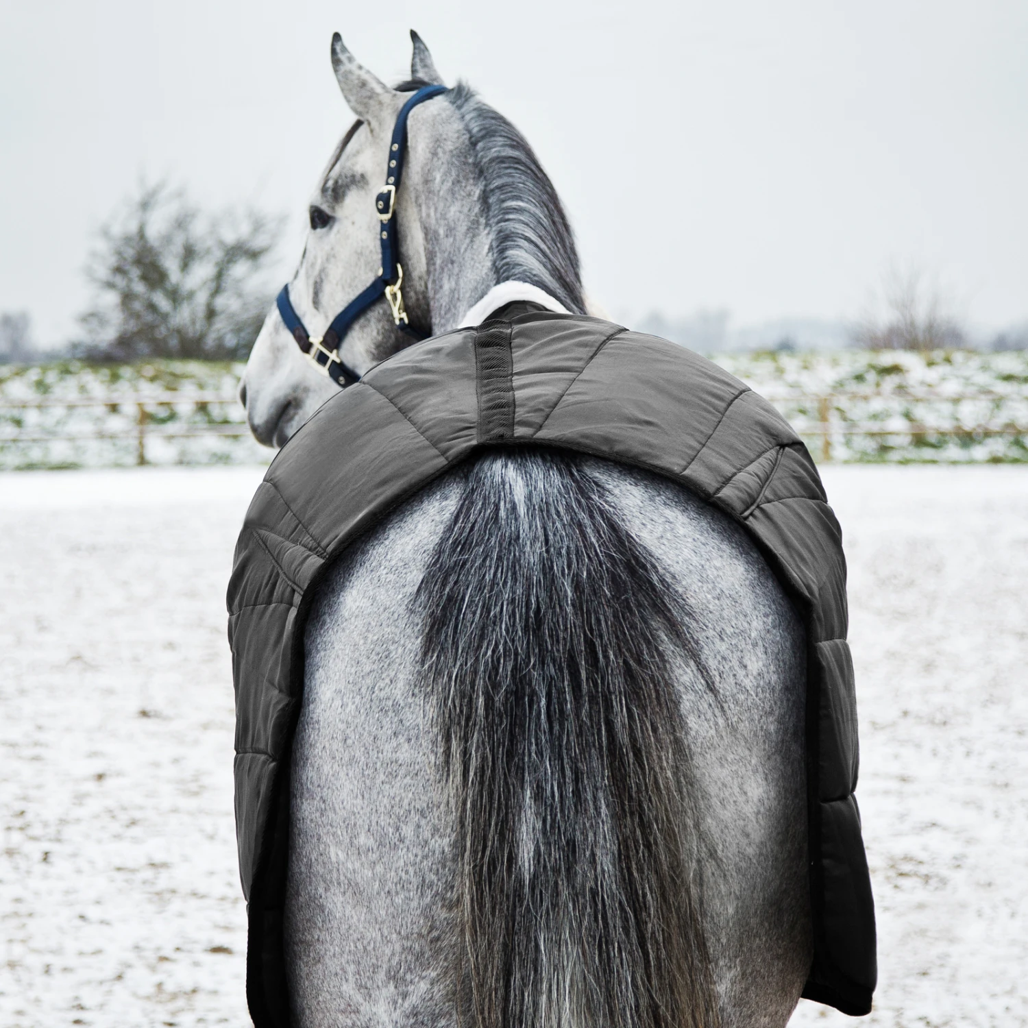 Horze Nevada Stalldecke, 200g 6 Horze Nevada Stalldecke, 200g – Bild 6