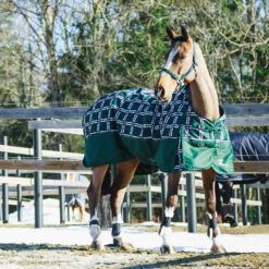 Horze Nevada Mittelschwere Regendecke, 200g 27 Horze Nevada Mittelschwere Regendecke, 200g -Cavallo Verkäufe 24574 BTGR VDB 3