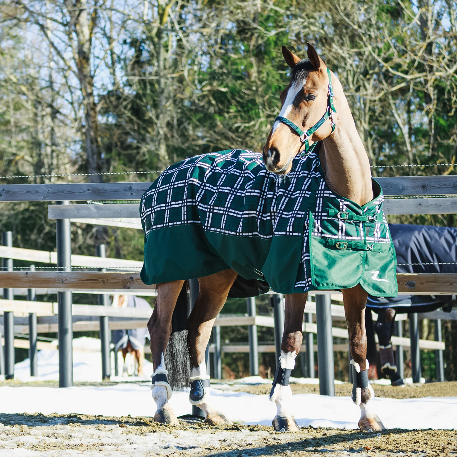 Horze Nevada Mittelschwere Regendecke, 200g 11 Horze Nevada Mittelschwere Regendecke, 200g – Bild 11