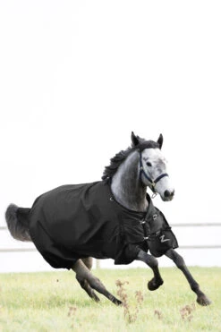 Horze Nevada Mittelschwere Regendecke, 200g 21 Horze Nevada Mittelschwere Regendecke, 200g -Cavallo Verkäufe 24574 bl 02