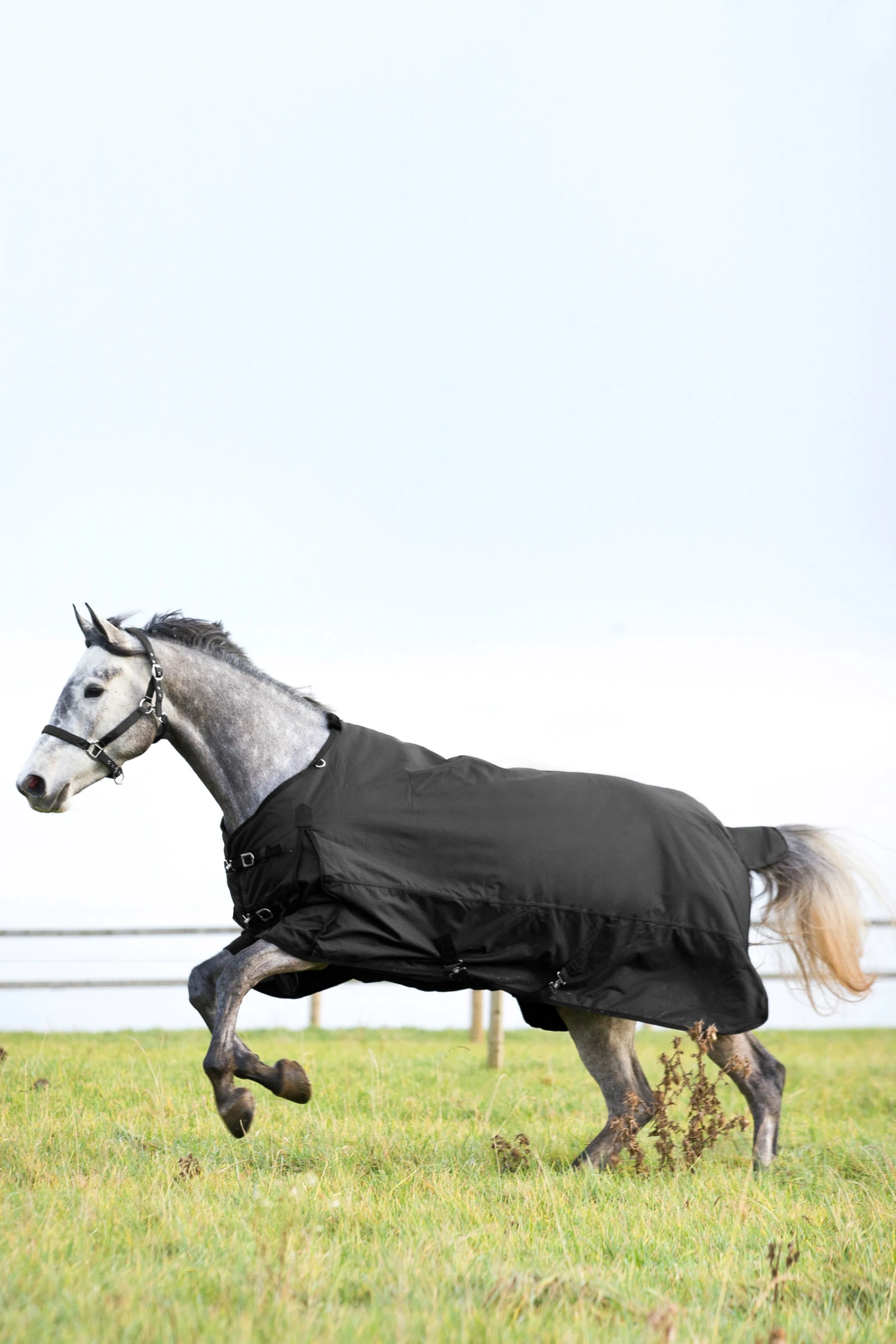 Horze Nevada Mittelschwere Regendecke, 200g 6 Horze Nevada Mittelschwere Regendecke, 200g – Bild 6