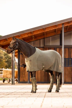 B Vertigo Wellington Abschwitzdecke -Cavallo Verkäufe 24688 630 06