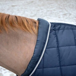 B Vertigo Tim Stalldecke 400g -Cavallo Verkäufe 24795 VDB 4