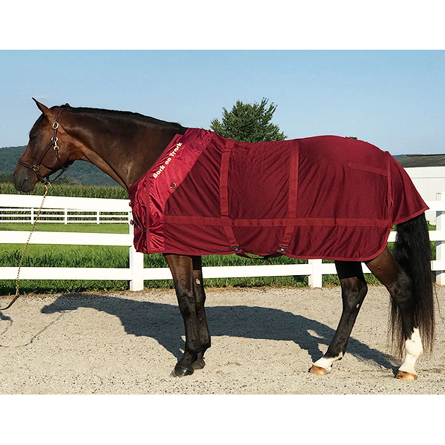 Back On Track Netzdecke 4 Back On Track Netzdecke – Bild 4